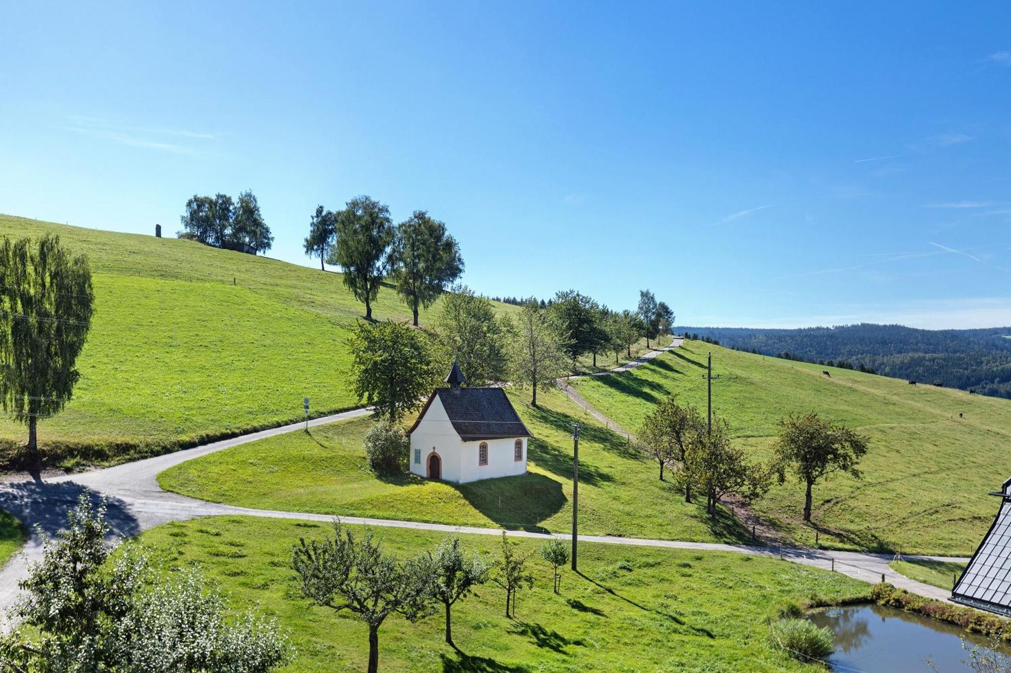 Kapellenhof Ferienwohnungen 特里贝格 外观 照片
